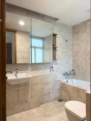 Soleil @ Sinaran (D11), Condominium #516295061